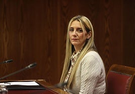 Koldo y Miss Asturias se verán las caras en un juzgado el próximo martes