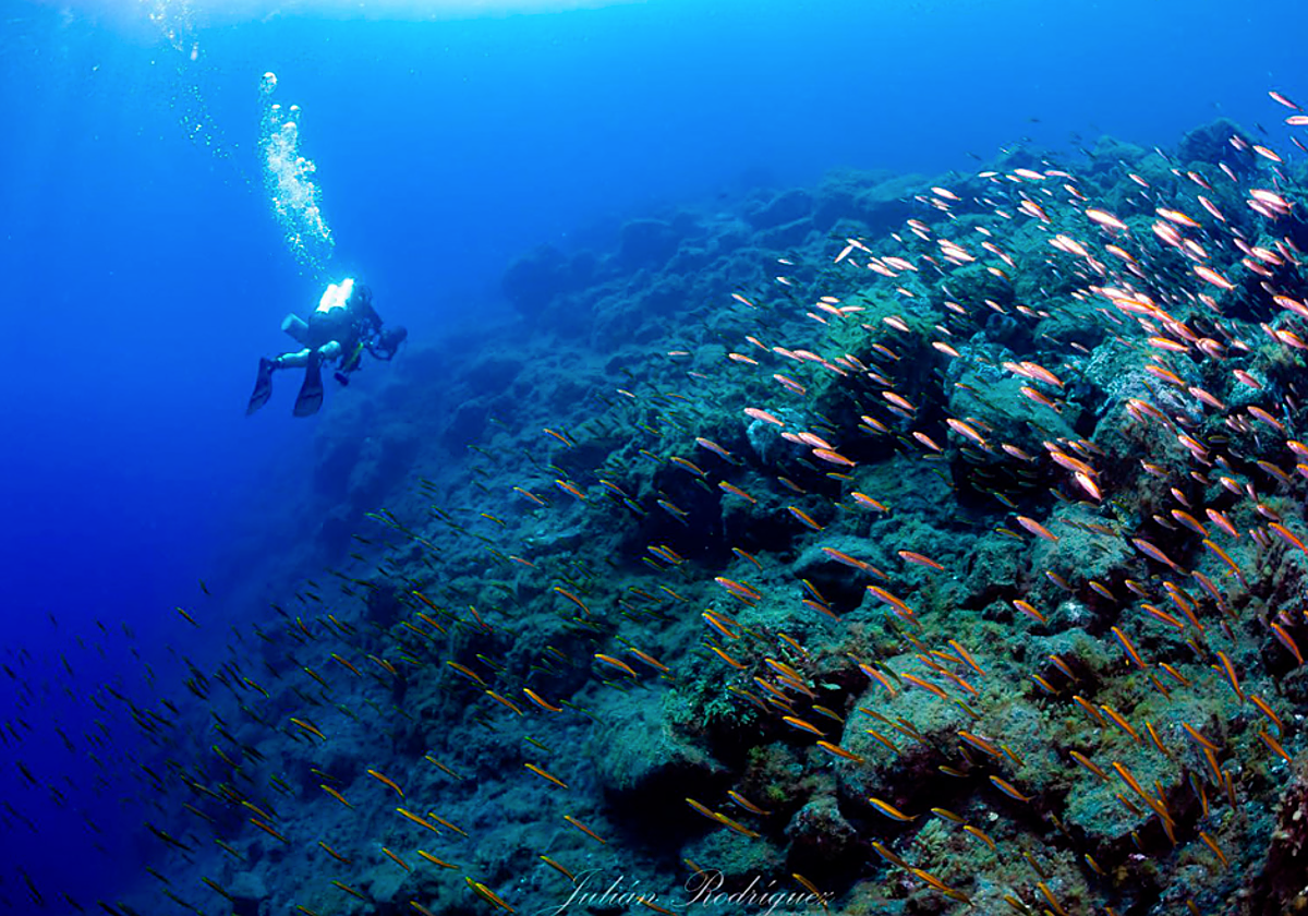 Uno de los miembros del equipo de investigación de la ULL.