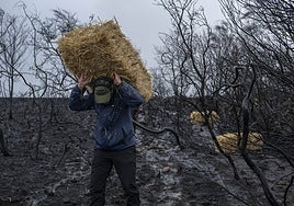 La Xunta y la Confederación Miño-Sil acuerdan una comisión para coordinarse contra el arrastre de cenizas