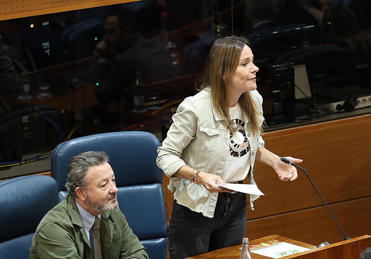 La portavoz de Vox en la Asamblea de Madrid, Isabel Pérez Moñino