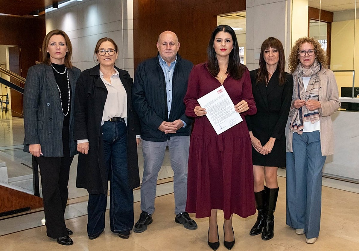 Diputados provinciales del PSOE antes de presentar el escrito en Diputación de Almería