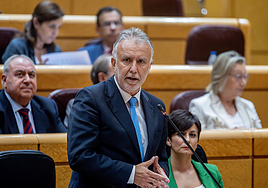 El PP pide una nueva comparecencia de Ángel Víctor Torres ante la Comisión de Investigación