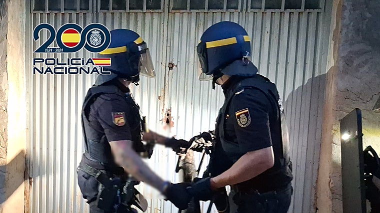 Trece detenidos con 527 plantas de marihuana, armas y un perro mutilado al cortarle las orejas sin medios asépticos