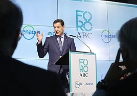 Juanma Moreno está «muy preocupado» por la factura electoral del caso Mascarillas de Almería: «Hay un solo beneficiado que es Vox»