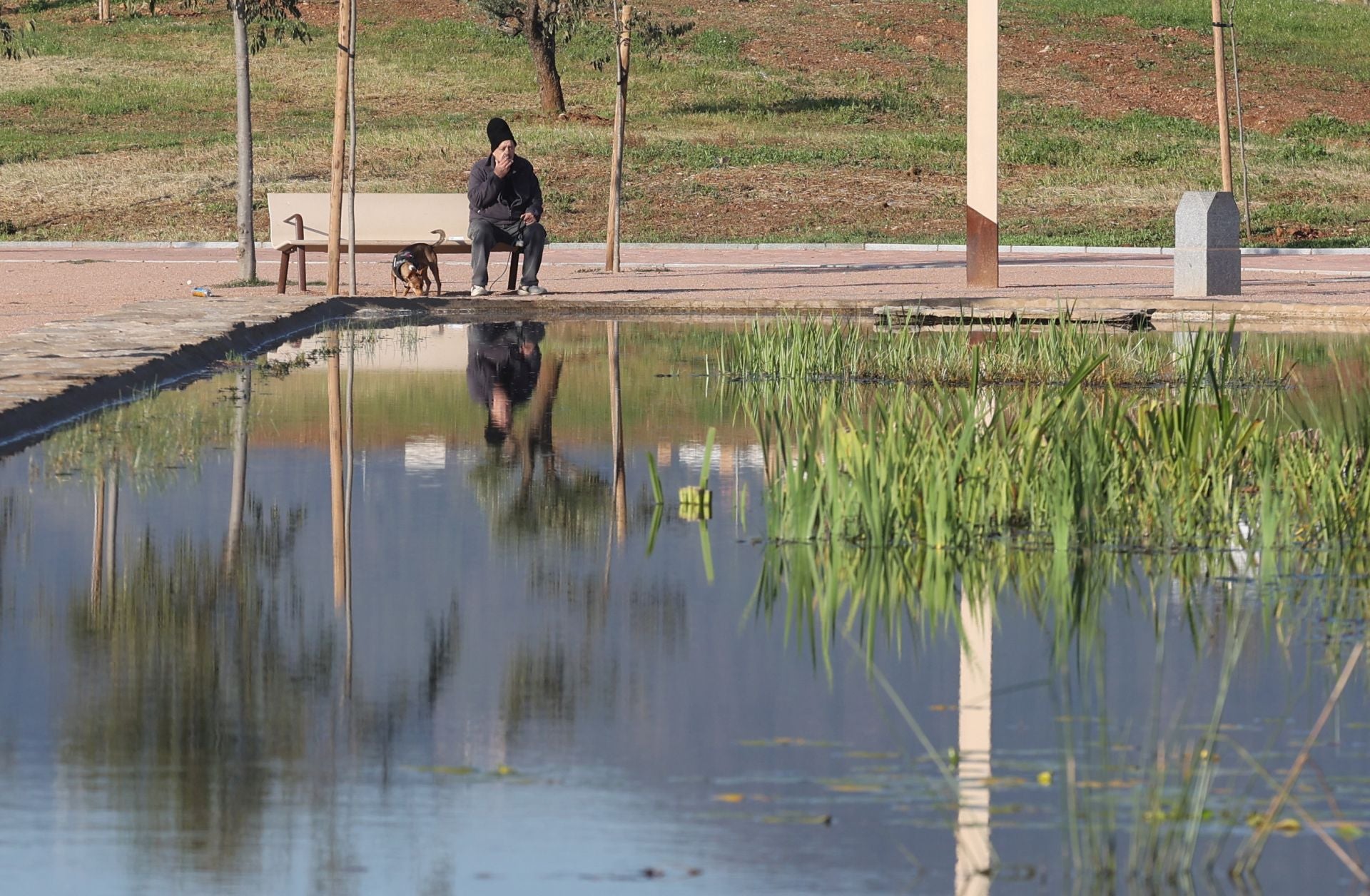 El final de las obras del parque Princesa de Asturias en Córdoba, en imágenes