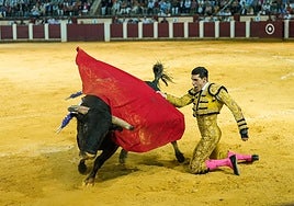 El matador Alejandro Talavante, pregonero mayor del Carnaval del Toro 2026