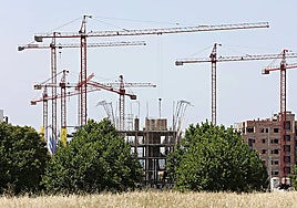 Granada apuesta por frenar la caída de la natalidad con cheques bebé de 200 euros