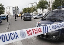 La redada policial en el Sector Sur destapa un arsenal de armas ilegales y 45 kilos de marihuana