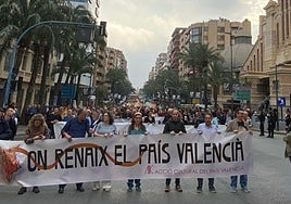 Manifestantes por el centro de Alicante este domingo, en una imagen difundida en sus redes por Acció Cultural del País Valencià