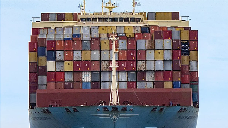 Localizan varios coches robados en Países Bajos en un contenedor en Canarias camino a África