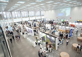 Córdoba, ante su mayor test sobre congresos: tres mil médicos internistas celebran su reunión nacional