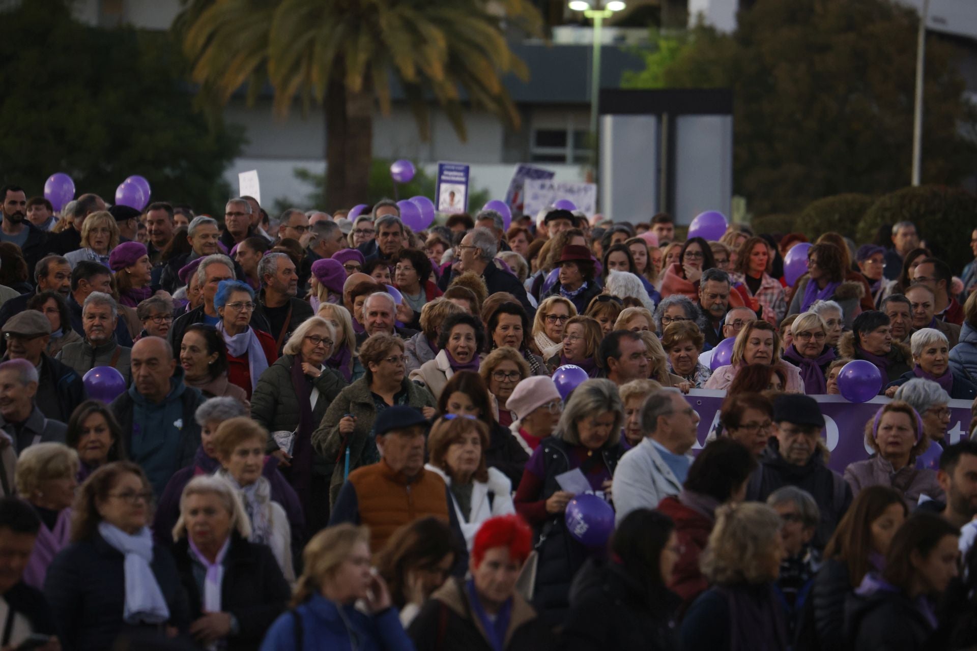 La concurrida protesta del 25-N en Córdoba, en imágenes