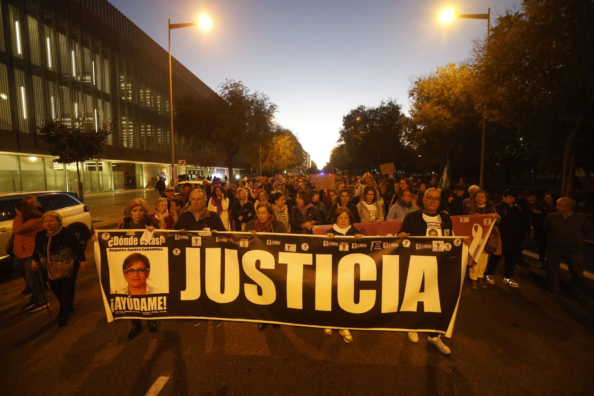 La concurrida protesta del 25-N en Córdoba, en imágenes
