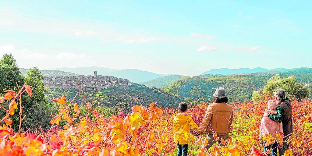 Las Rutas del Vino crecen y van a por la décima