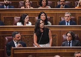 La portavoz de Vox en el Congreso, Pepa Millán