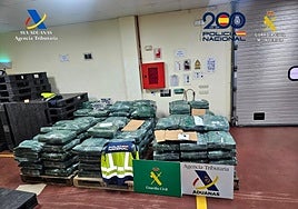 Cocaína de alta pureza entre plátanos de Ecuador: nueva operación antidroga en el puerto de Valencia