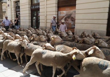 Permitidos los mercados ganaderos desde el lunes, excepto para bovinos