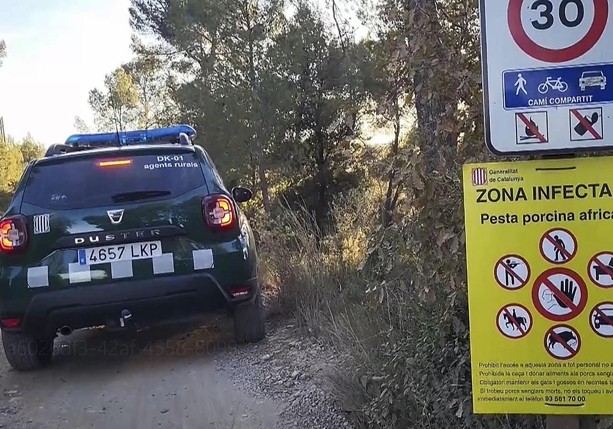 Un coche de los Agentes Rurales en la zona afectada por la peste porcina africana en Collserola (Barcelona)