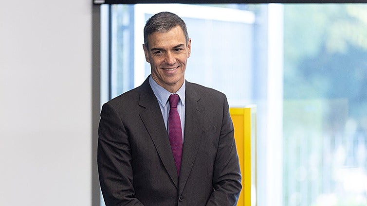 Sánchez cumple las exigencias de Otegi: reduce un 54% los etarras presos