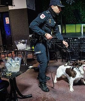 Imagem Secundária 2: Após identificá-los, os agentes revistam todos os presentes. Vito, do departamento canino, está em busca de drogas.
