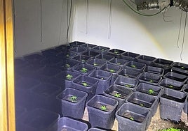 Detenido un hombre en Cuenca por robos con violencia en viviendas, cultivo de marihuana y con una orden de ingreso en prisión pendiente