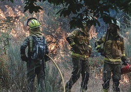 La Xunta financiará contratos a parados para prevenir incendios