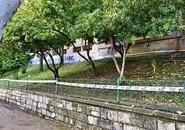 El padre de una de las menores fallecidas en Jaén niega que su hija sufriera bullying y pide «llegar a la verdad»