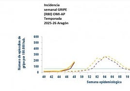 Además de Zaragoza, la gripe ya es epidemia  en la provincia de Huesca: pasa al nivel 2 de riesgo