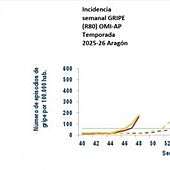 Además de Zaragoza, la gripe ya es epidemia en la provincia de Huesca: pasa al nivel 2 de riesgo
