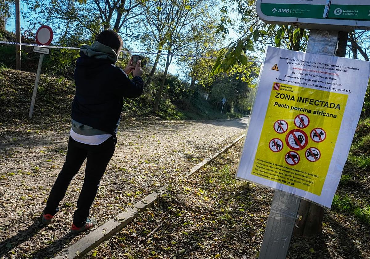 Cartel de advertencia en la zona perimetrada donde se hallaron los jabalíes infectados