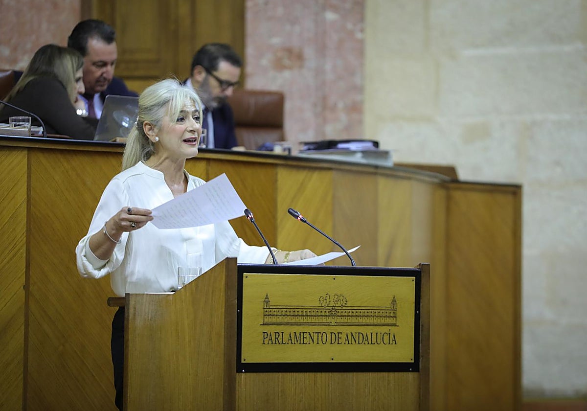 La consejera de Cultura, Patricia del Pozo, en el Parlamento