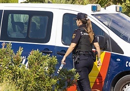 Investigan un posible asesinato machista en Alicante tras hallar los cadáveres de la víctima y su verdugo