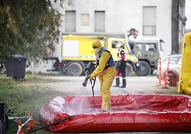 «Horas críticas» para el control de la peste porcina en Cataluña: los casos confirmados ya son nueve