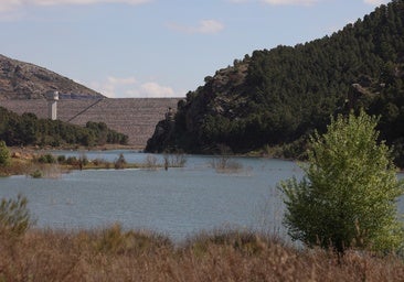 Localizado el cadáver calcinado de un varón en las inmediaciones de Plasencia de Jalón (Zaragoza)