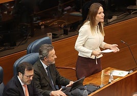 Vox presenta casi mil enmiendas a los Presupuestos de Ayuso y pone en primer plano la «prioridad nacional»