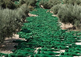 Spencer Tunick hace pública su foto del desnudo masivo que hizo en Granada, donde «naturaleza y personas fueron una misma cosa»