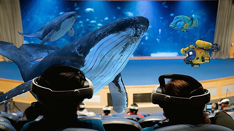 El Oceanogràfic  recrea ballenas y otras especies en una experiencia de «realidad mixta» única en el mundo