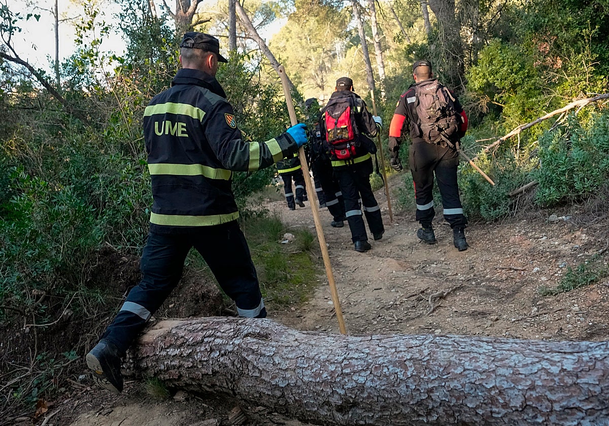 Miembros de la UME rastrean la sierra de Collserola, foco de los contagios en Cataluña