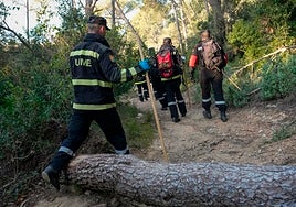La peste porcina en Cataluña enciende las alertas del sector ibérico en Córdoba