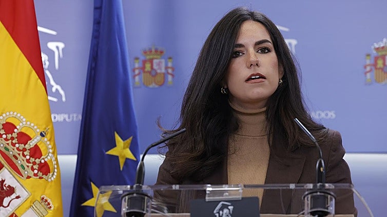 Vox se borra también del izado de la bandera por el Día de la Constitución