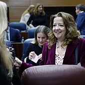 La consejera de Sanidad de Madrid, Fátima Matute