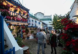 Navidad en los Patios: cuando brillan los pascueros y se siembran las primeras gitanillas
