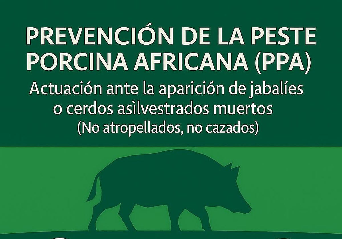 Andalucía declara la «emergencia cinegética temporal» en su prevención ante la peste porcina