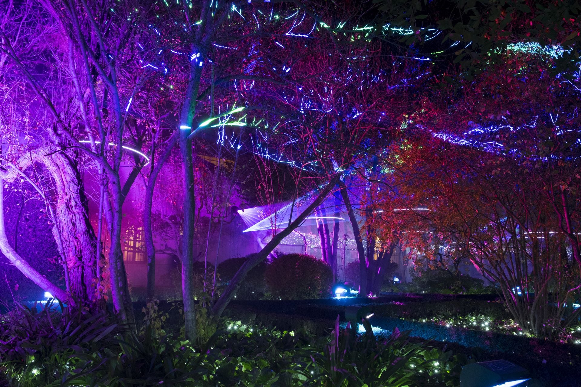 Iluminación especial en Salamanca