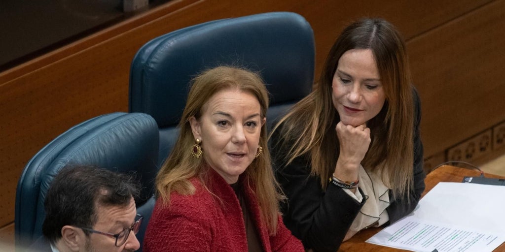 Las mil enmiendas de Vox a las cuentas de Ayuso: entre la «prioridad nacional» y el «billete de vuelta» para inmigrantes