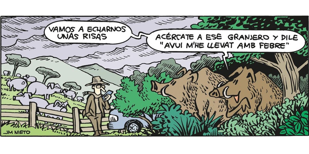 251207%20PARA%20WEB%20CYL%20boars-U21