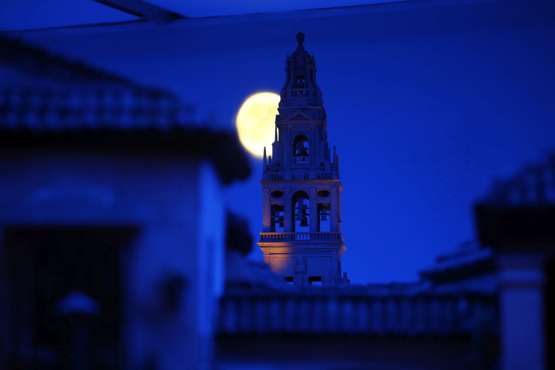 La belleza de los belenes de Córdoba, en imágenes