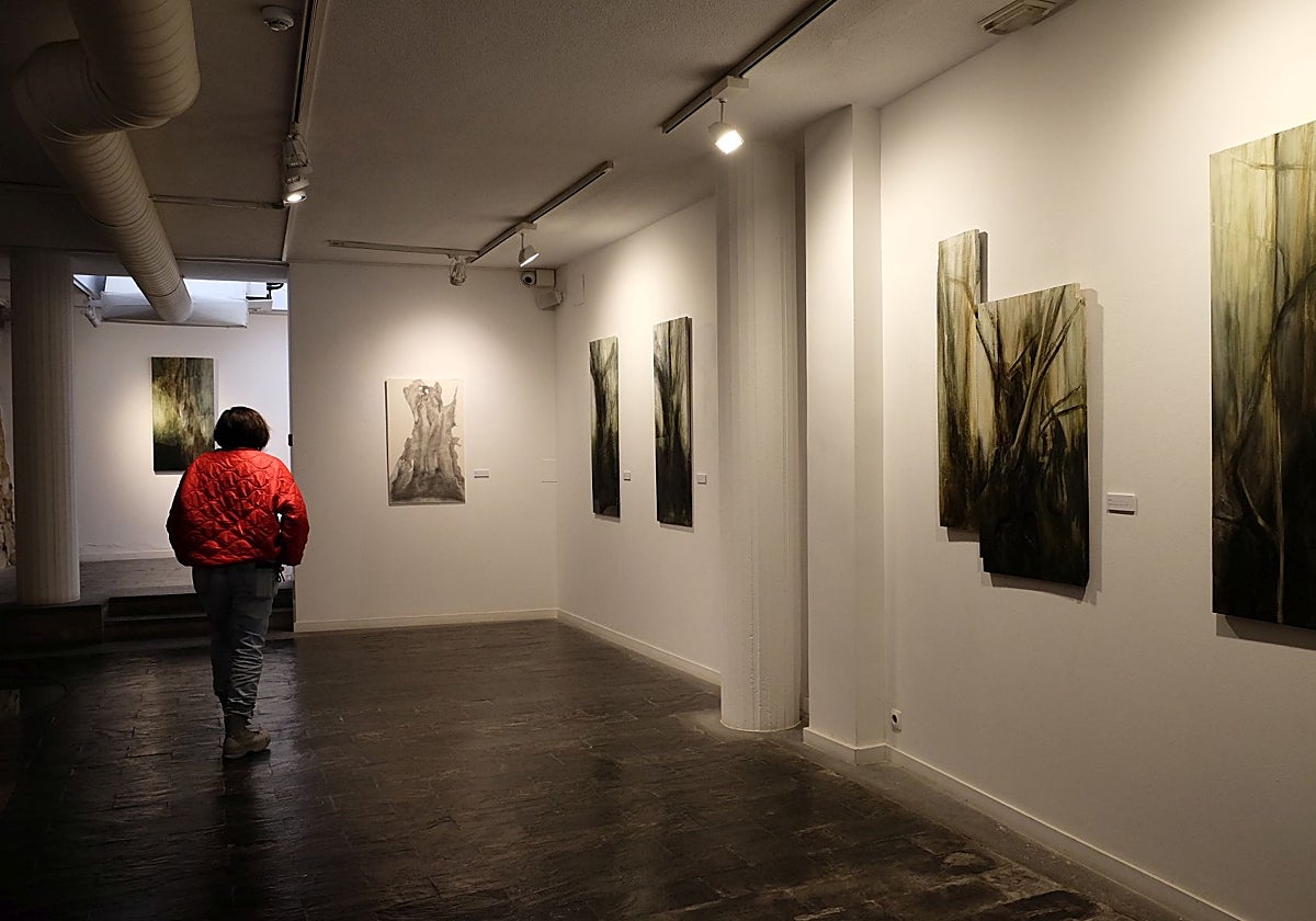 Exposición de Purificación del Bosque en el Palacio de La Salina de Salamanca