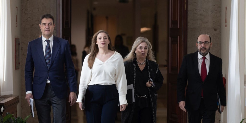 Las Cortes piden al Tribunal de Cuentas que fiscalice la fundación de Vox con el sí de PP y PSOE