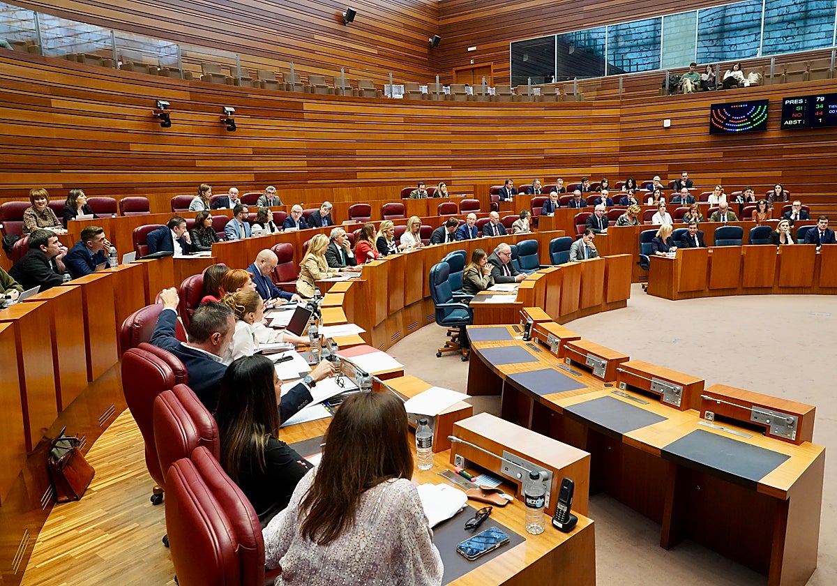 Pleno de las Cortes de Castilla y León